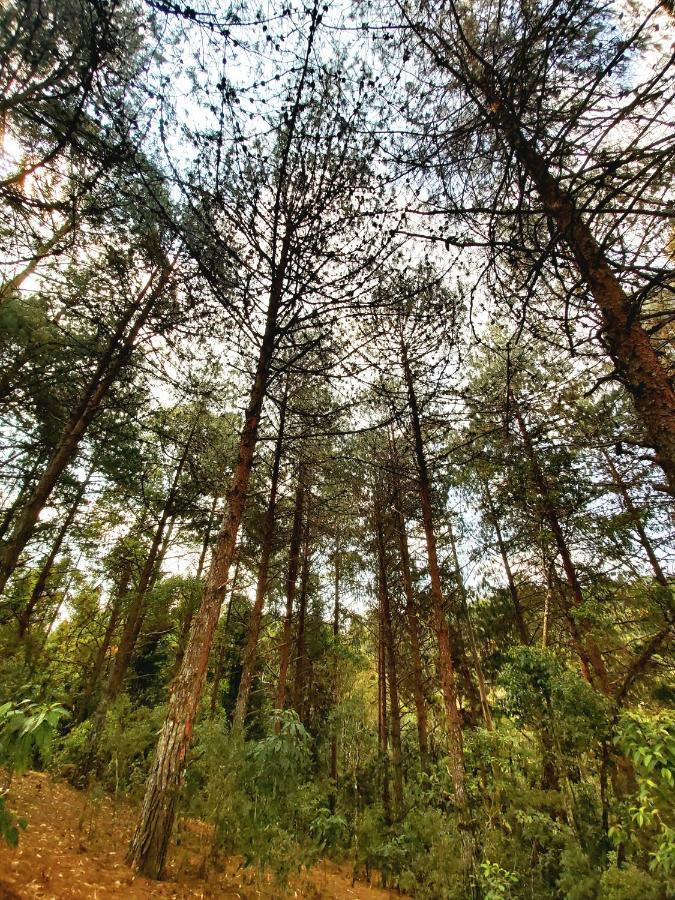 Recanto Das Cerejeiras Campos do Jordão Exterior foto