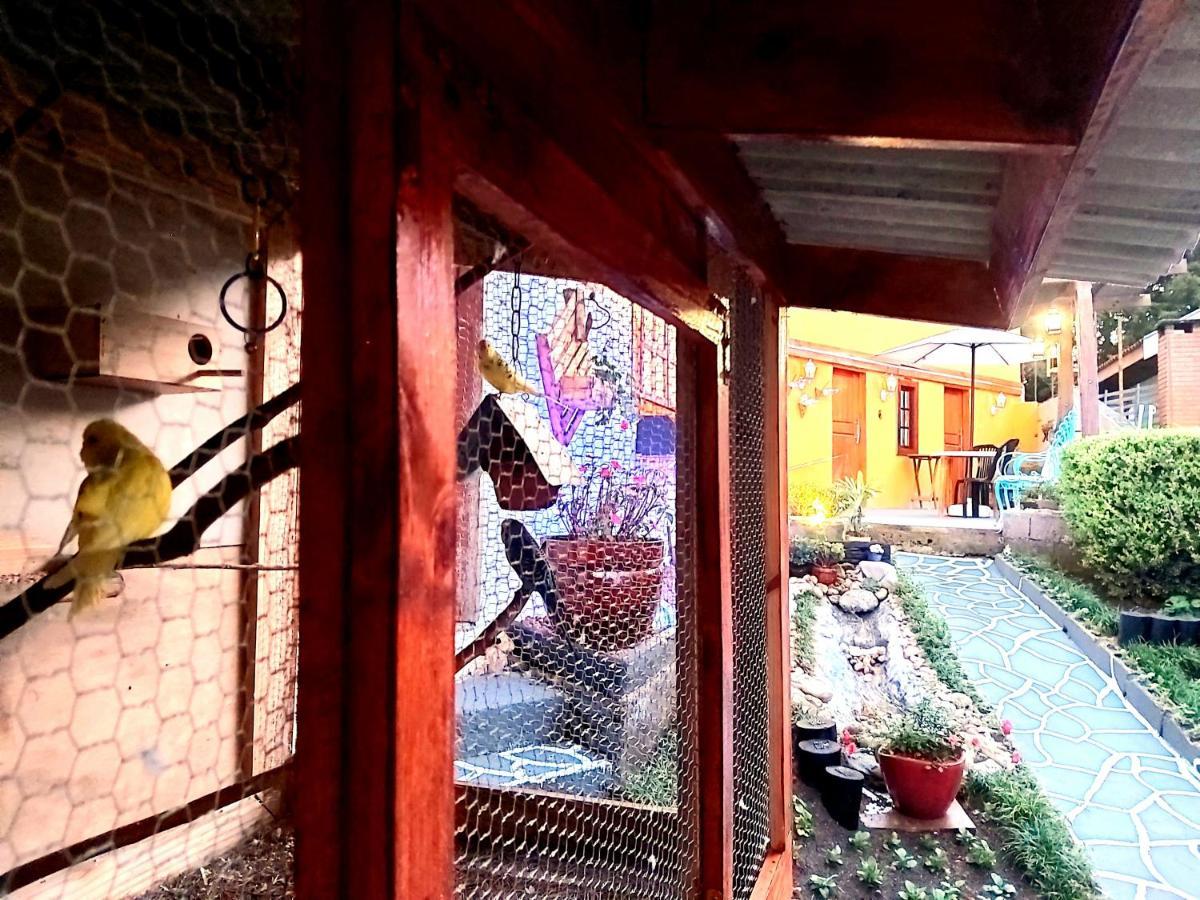 Recanto Das Cerejeiras Campos do Jordão Exterior foto